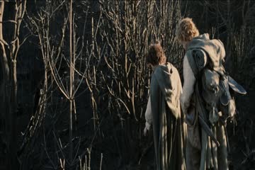 The Lord of the Rings 3 The Return of the King 2003  Dub in Hindi thumb